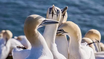 阿尔卡拉斯2-1逆转弗里茨 取得总决赛小组赛两连胜